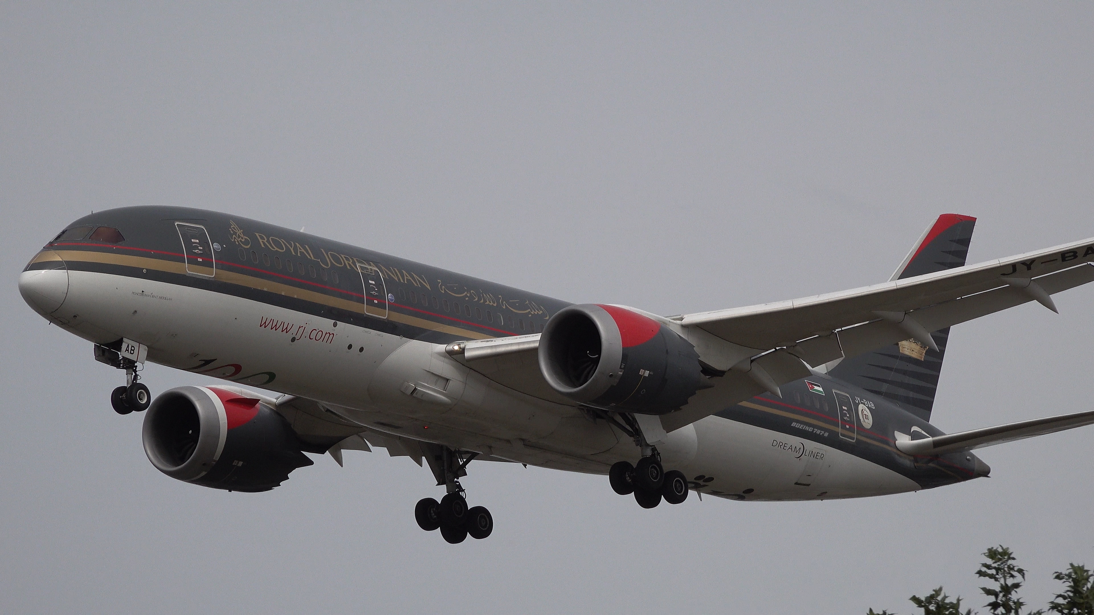 Royal Jordanian Boeing 787-8 Dreamliner (2)
